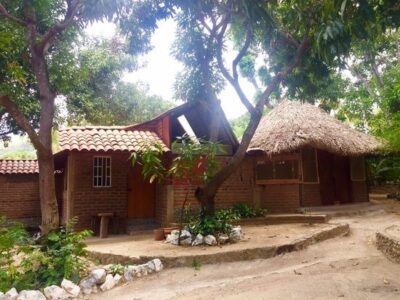 Reflections on Living Without a Fridge Image